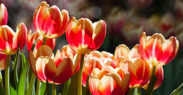 毕业论文如何提取关键词？