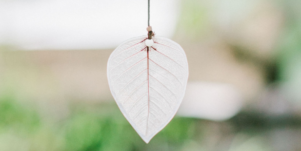 省级期刊与国家级期刊之间有什么区别？