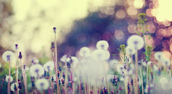 核心期刊写作发表论文的经验技巧总结