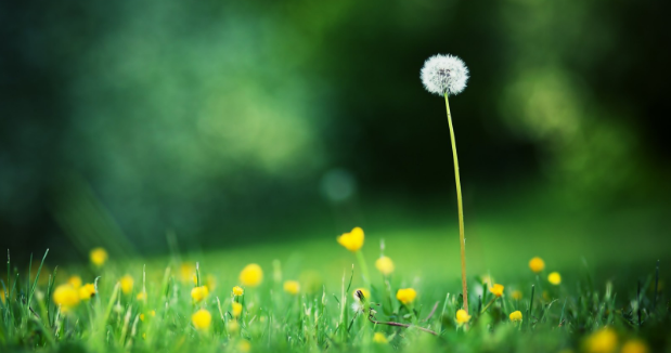 化学专业考研方向可以怎样选择？