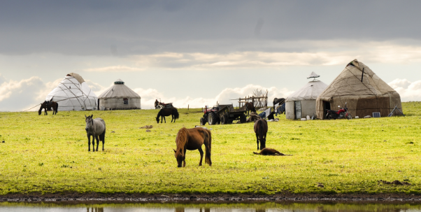 Stata给数据库和变量做标记的命令有哪些？