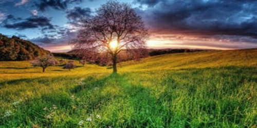 医学文献检索的基本概念是什么