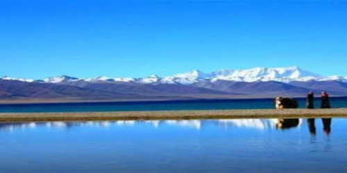 文献检索论文题目参考