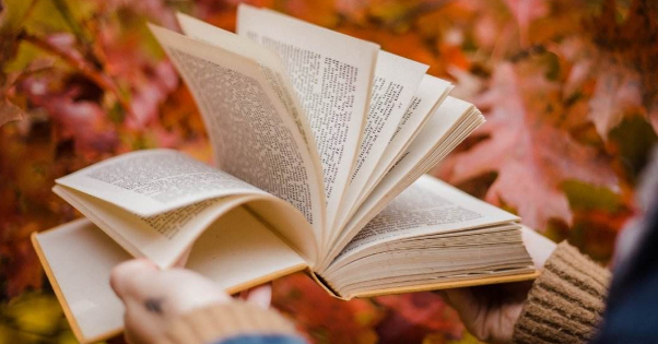 EI检索号的重要性体现在哪里？