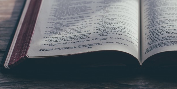 会计类论文评审意见要如何进行修改回复？