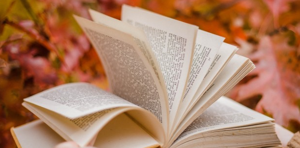 工程类论文修改可分为哪两个方面？