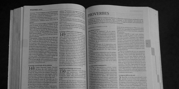 ei检索语言存在哪些实用的类型和功能？