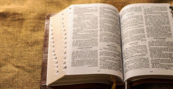 不同的论文查重系统对最后结果的影响大吗？