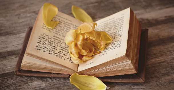 学术论文摘要翻译有什么原则呢？