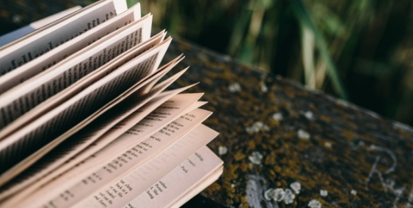 河传指的是国内哪一所大学？