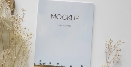 ei和sci的科研成果有哪些表现形式？