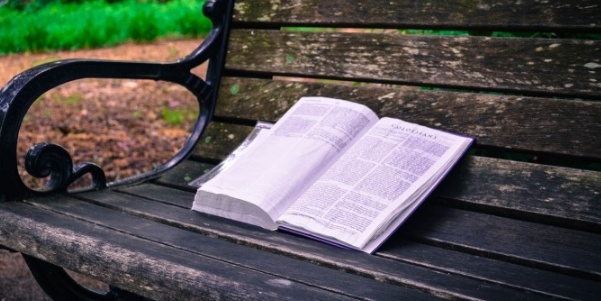 专业硕士与学术硕士两者区别在哪里?