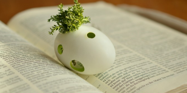 cstpcd期刊是什么意思?