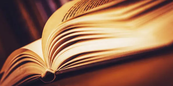 ei同ISTP相比哪个更好一点？