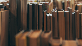 一篇SCI论文没有基金项目支持可以发表吗?