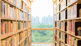 JOURNAL OF NEUROLOGY期刊影响因子是多少呢?