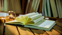 内刊和外刊是什么意思?有什么区别?