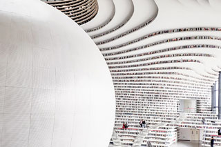 论文的技术路线怎么写