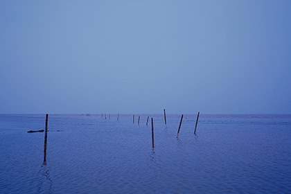 论文脚注怎么修改