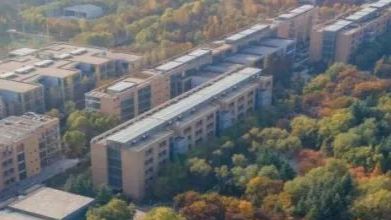 没有痛苦的博士求学经历是不合格的