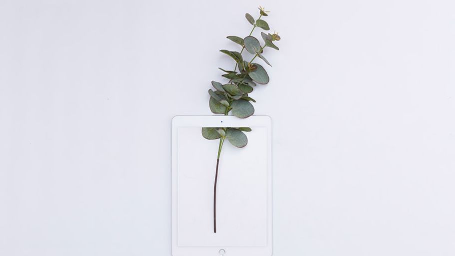 论文查重后如何修改