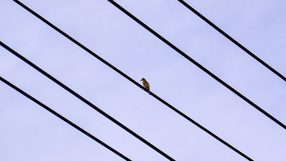 论文中的注释怎么写