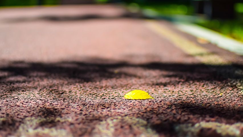 科研团队需要哪些支持