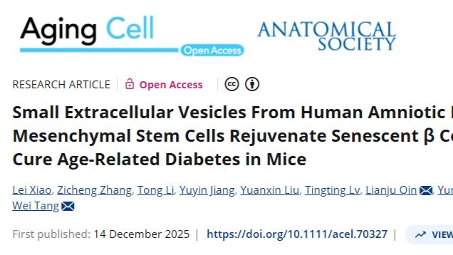 糖尿病或可逆！南医大发现：外囊泡治疗2个月，逆转胰岛细胞衰老，成功缓解动物糖尿病