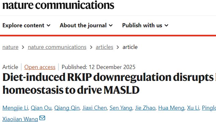 Nat Communi | 浙江大学王晓健团队发现代谢功能障碍相关脂肪性肝病的治疗新靶点