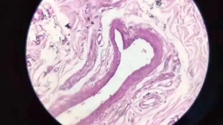 一个字都没写，也能发24分Nature子刊？审稿人: 这是我审起来最享受的文章!