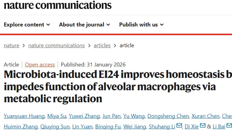 中国科学技术大学白丽等团队揭示微生物群诱导的 EI24 通过代谢调控维持肺泡巨噬细胞稳态