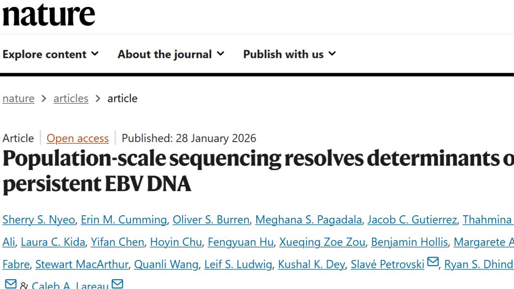 《Nature》揭示EBV持续感染核心机制：抗原加工可变性由免疫基因异质性驱动，B细胞与抗原呈递细胞是关键