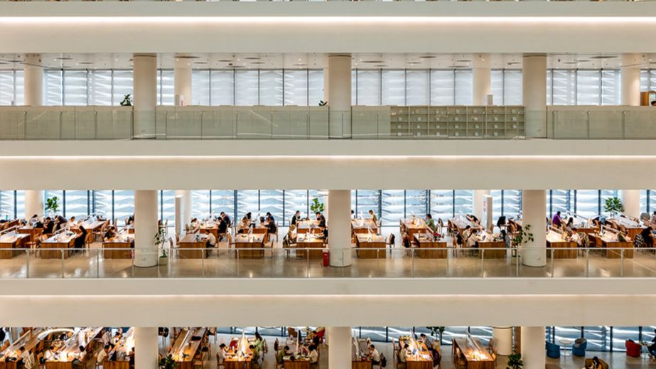 为什么论文没有绪论