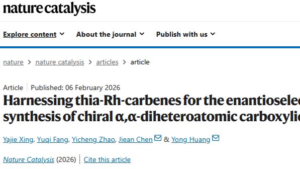 香港科技大学&深圳湾实验室，最新Nature Catalysis！