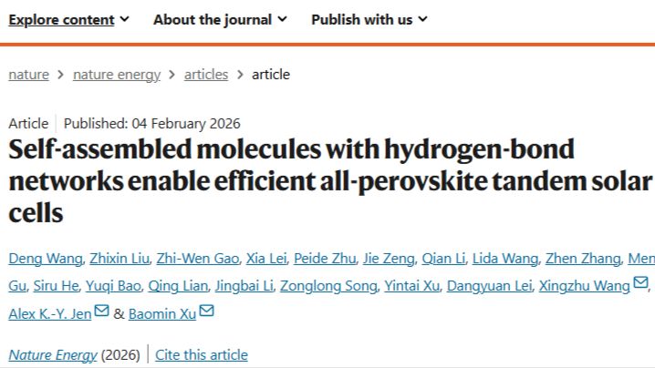 南方科技大学，最新Nature Energy！