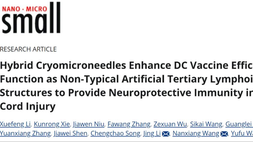 哈尔滨医科大学王玉玞团队开发杂化冷冻微针，用于脊髓损伤免疫治疗