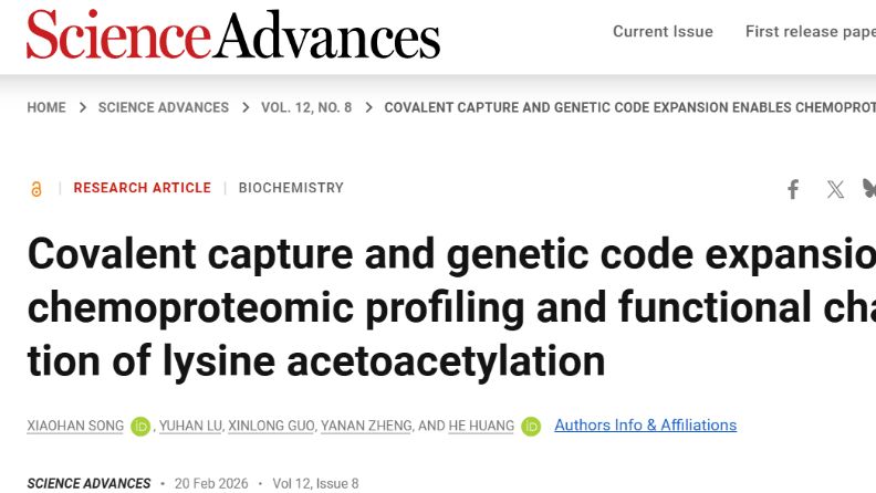 上海药物所黄河团队开发赖氨酸乙酰乙酰化修饰鉴定与功能解析新技术