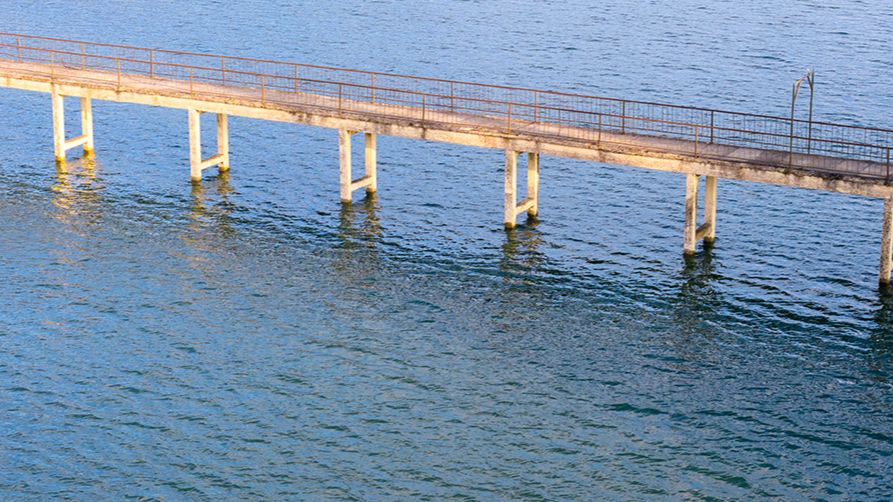 什么是论文发表