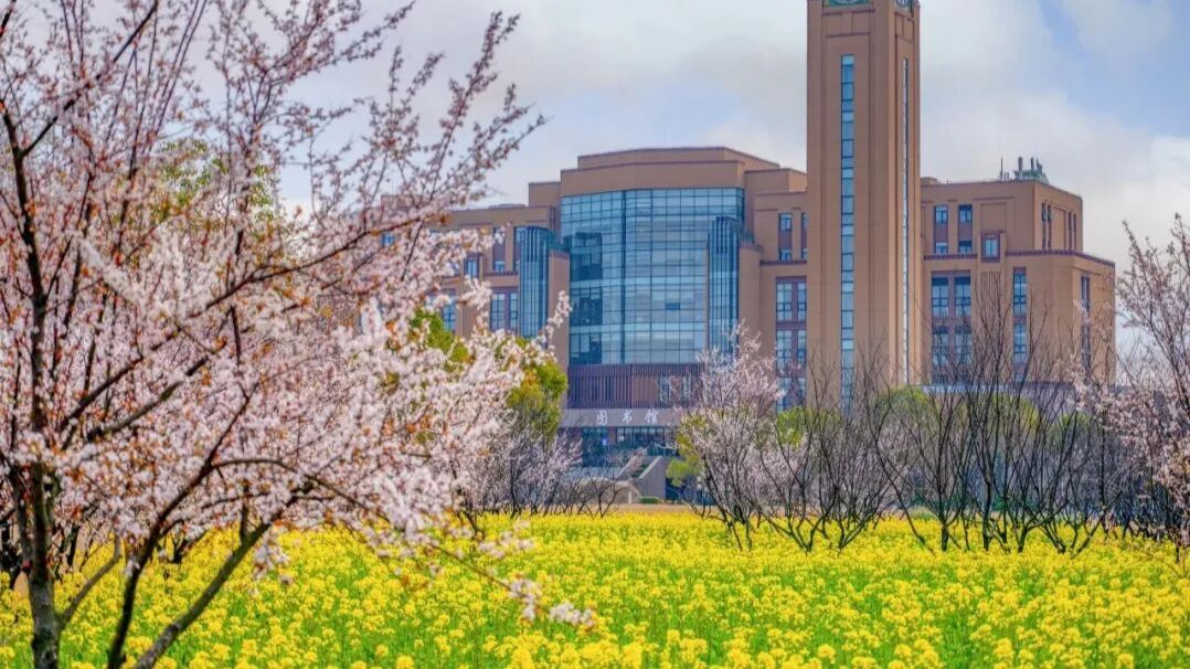 名字像专科，就业却不输 985 ？这 2 所学院，即将更名大学！