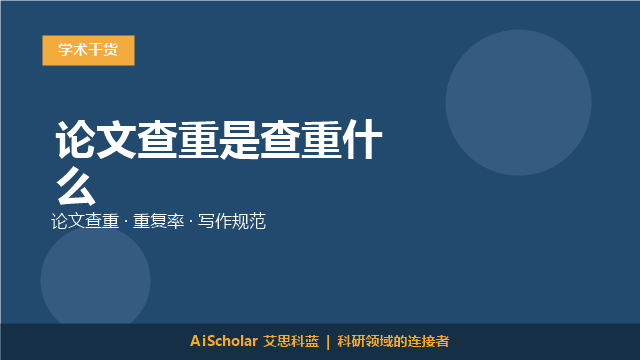 论文查重是查重什么