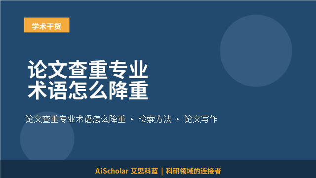 论文查重专业术语怎么降重