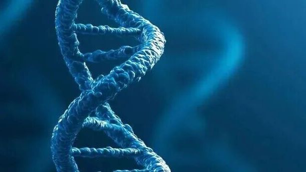 “渐冻症”或迎来治疗新希望！《科学》：“逆转”毒性蛋白损伤，这种分子能做到
