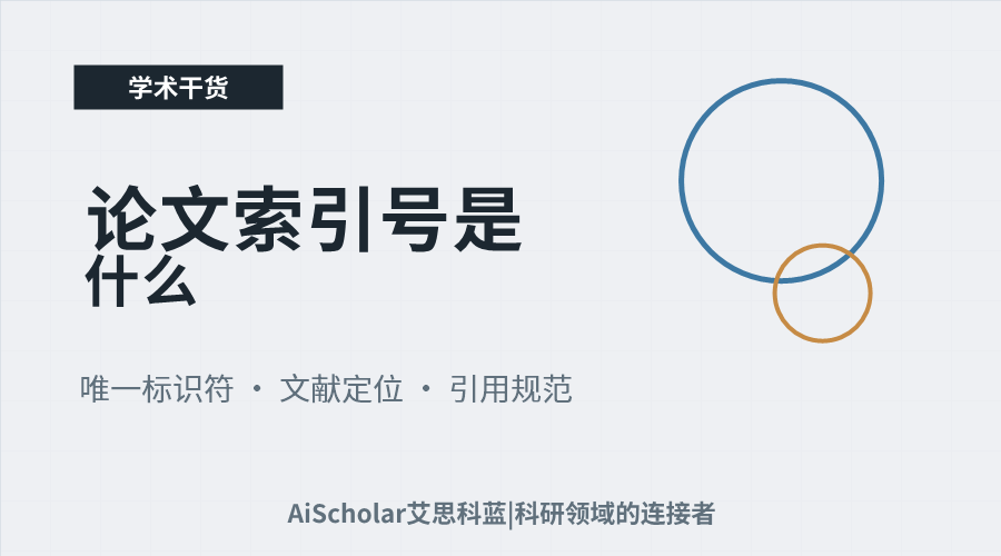 论文索引号是什么