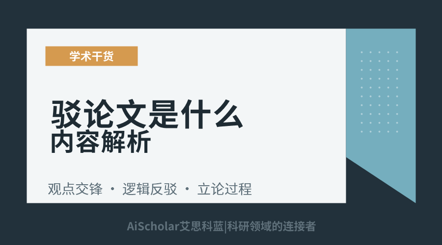 驳论文是什么