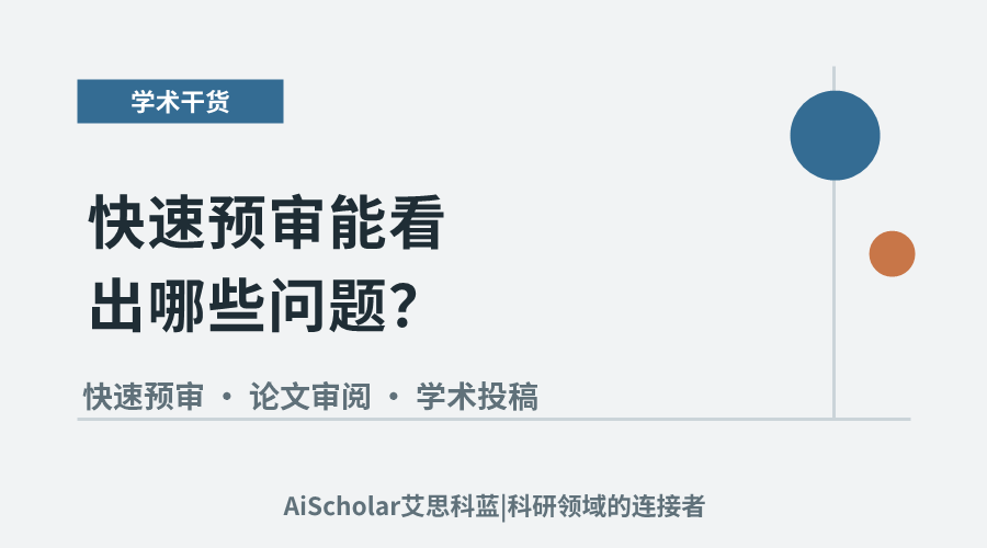 快速预审能看出哪些问题？