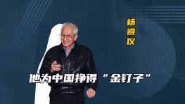 他为中国挣得“金钉子”