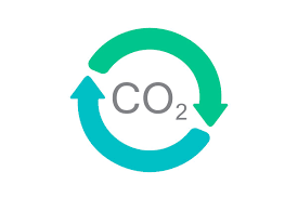  对CDP的碳披露评级的普遍批评