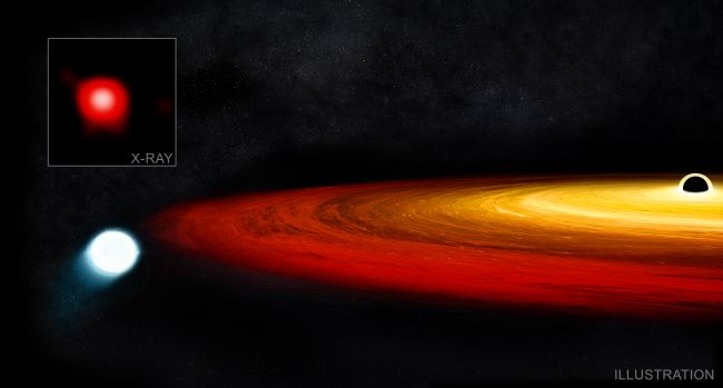 黑洞使锁定在其轨道上的白矮星上保持零食.png