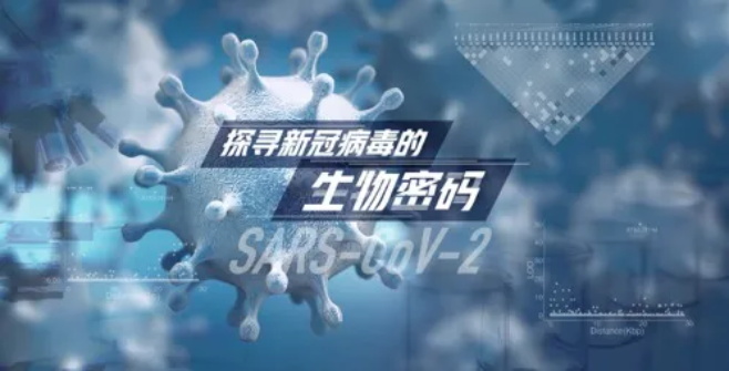 北京大学团队发现新冠病毒存在两个主要谱系.jpg