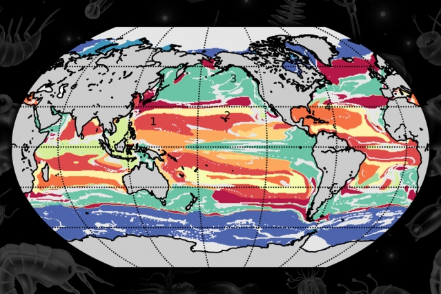 机器学习有助于绘制全球海洋社区的地图.jpg